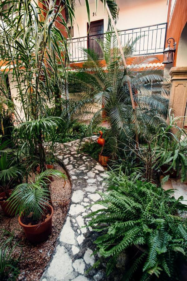 Hotel Quinta Marciala Mx Valladolid  Luaran gambar